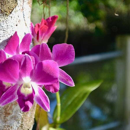 Nguyen Shack - Mekong 芹苴 外观 照片